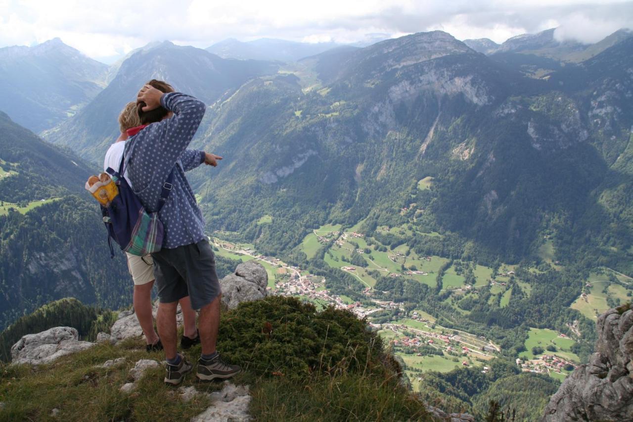 L'horizon Des Alpes